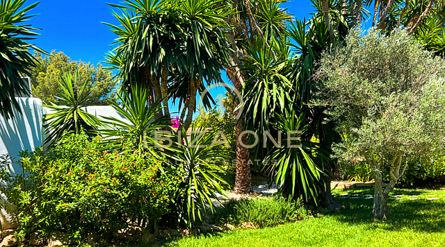 Fantastica proprietà finca con due guest house in vendita, Ibiza