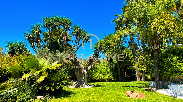 Fantastic finca property with two guest houses for sale, Ibiza