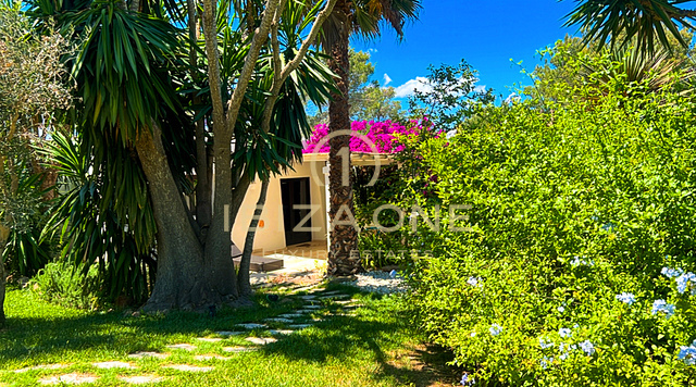 Fantastique propriété de campagne avec deux maisons d'hôtes à vendre, Ibiza