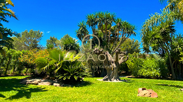 Fantastisch finca-pand met twee gastenverblijven te koop, Ibiza