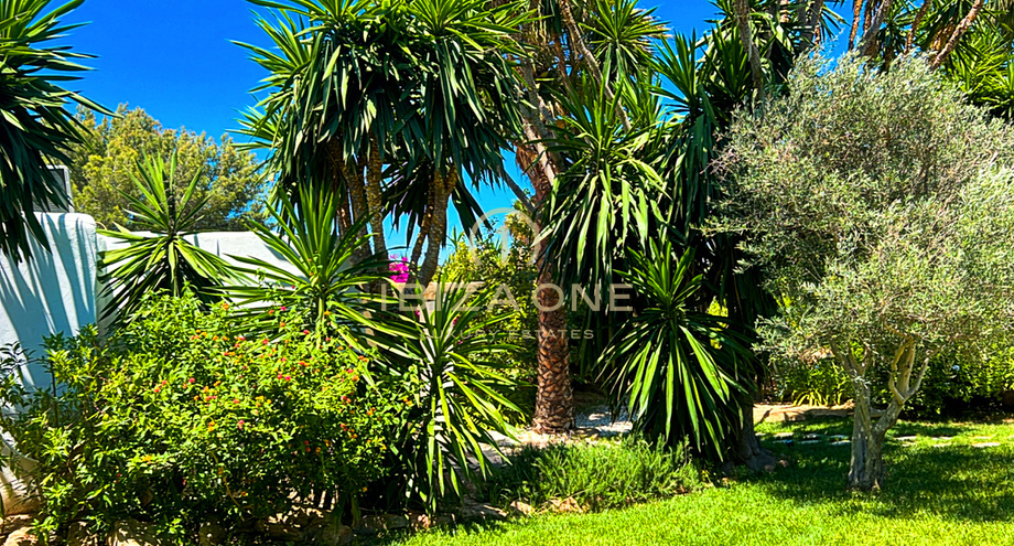 Photos of the property