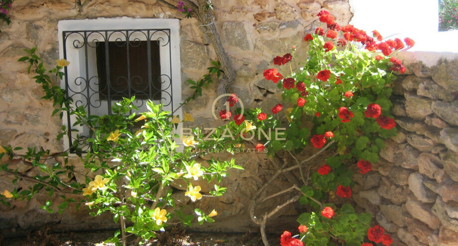 Photos of the property
