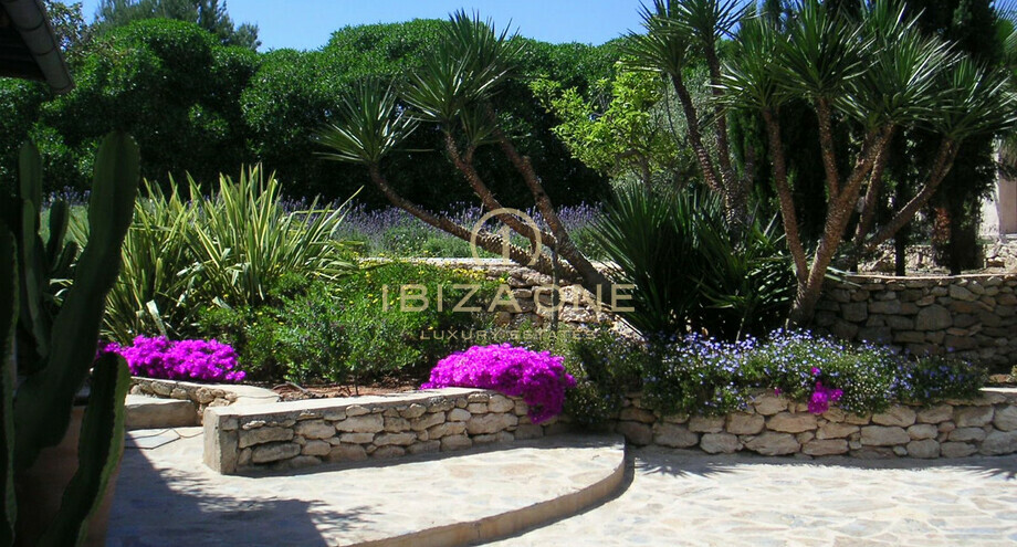 Photos of the property