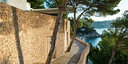 Foto dell'oggetto