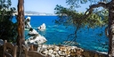 Foto dell'oggetto