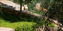 Photos of the property