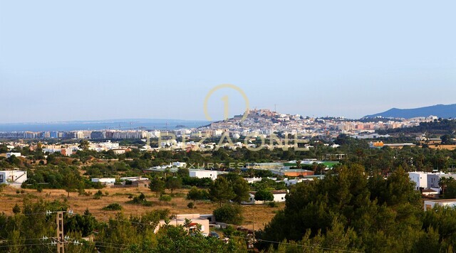 صور العرض