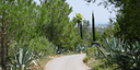 Foto dell'oggetto