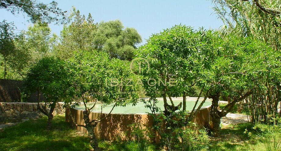 Foto dell'oggetto