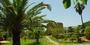 Foto dell'oggetto