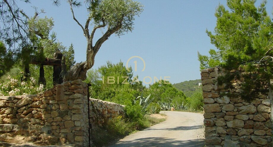 Foto dell'oggetto