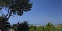 Foto dell'oggetto
