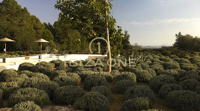 Belle villa de luxe à vendre près d'Ibiza, Ibiza - Belle villa de luxe à louer près d'Ibiza, Ibiza