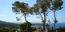 Foto dell'oggetto