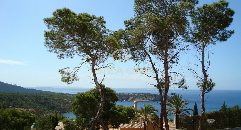 صور العرض
