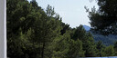 صور العرض