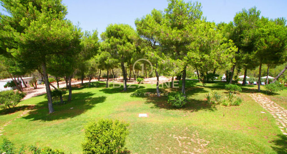 Foto dell'oggetto