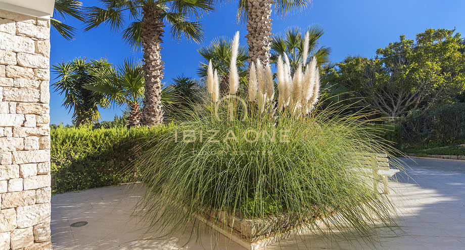 صور العرض