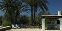 Foto dell'oggetto