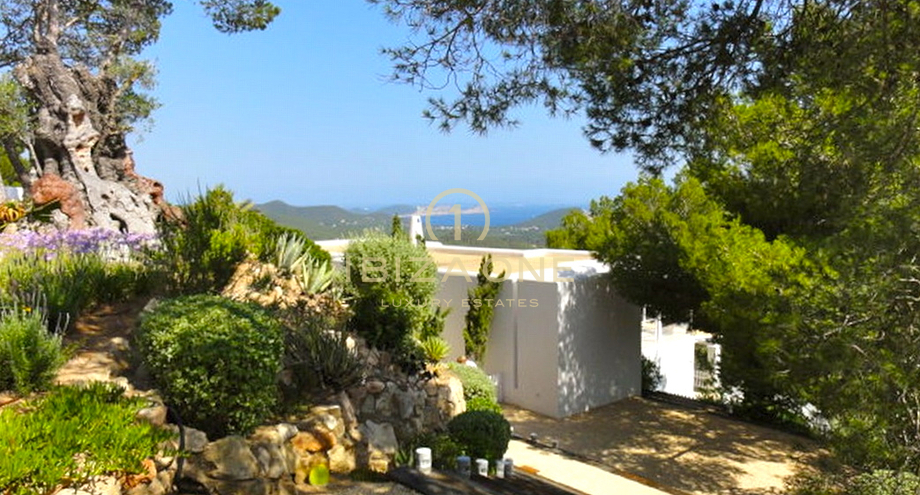 Photos of the property