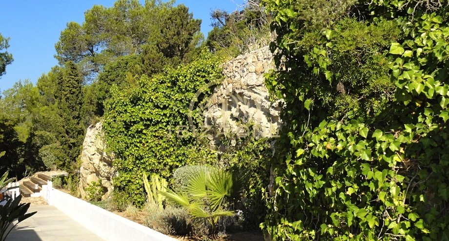 Photo de l'objet