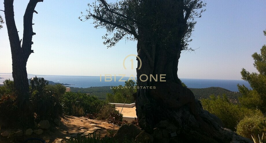 Photo de l'objet