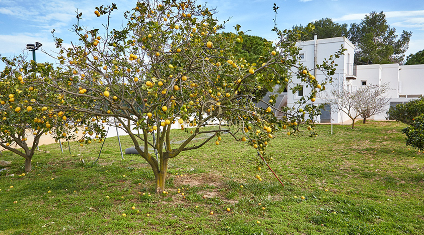 Proprietà da sogno e di lusso con campo da tennis e vista meravigliosa in vendita, Ibiza - Proprietà da sogno e di lusso con campo da tennis e vista meravigliosa in affitto, Ibiza
