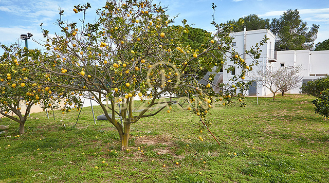 Propiedad de ensueño y lujo con pista de tenis y maravillosas vistas en venta, Ibiza - Propiedad de ensueño y lujo con pista de tenis y maravillosas vistas en alquiler, Ibiza