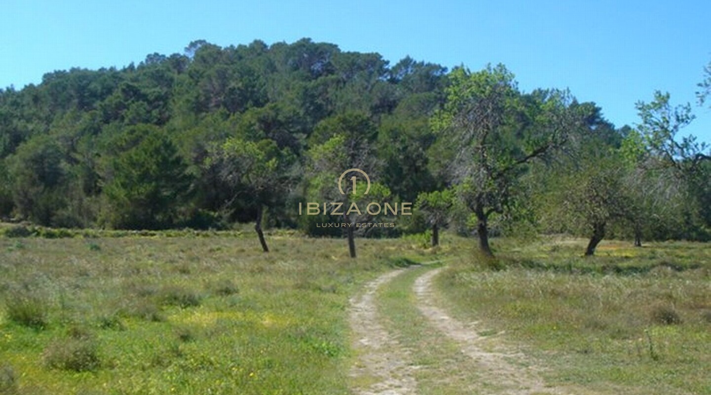 Luxe villa te koop, Ibiza - Luxe villa te huur, Ibiza