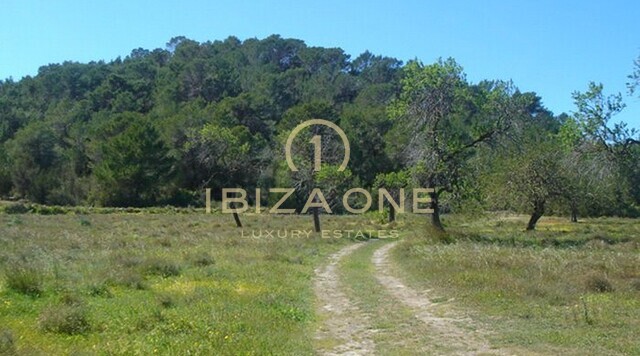 Luxusvilla zu verkaufen, Ibiza – Luxusvilla zu vermieten, Ibiza