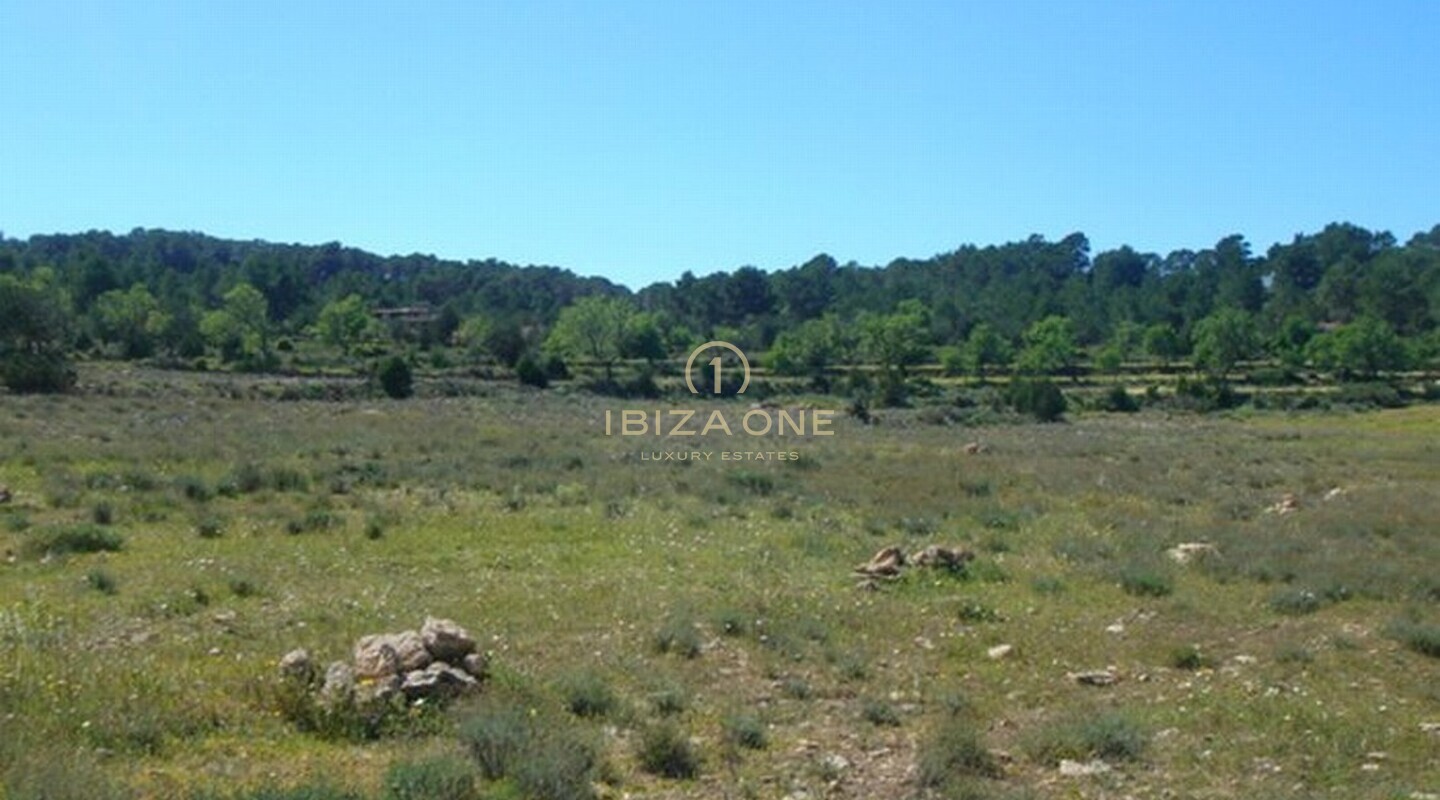 Luxe villa te koop, Ibiza - Luxe villa te huur, Ibiza