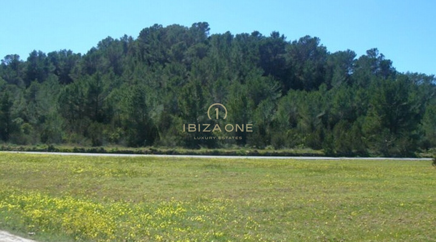 Villa de luxe à vendre, Ibiza - Villa de luxe à louer, Ibiza