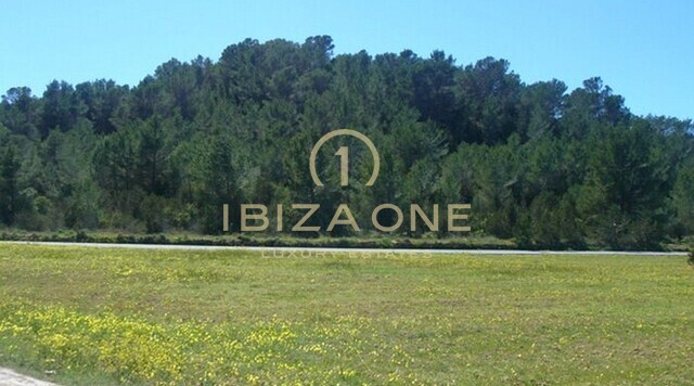 Villa de luxe à vendre, Ibiza - Villa de luxe à louer, Ibiza