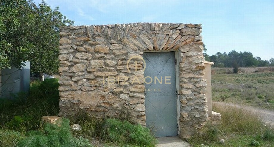 Foto des Objektes