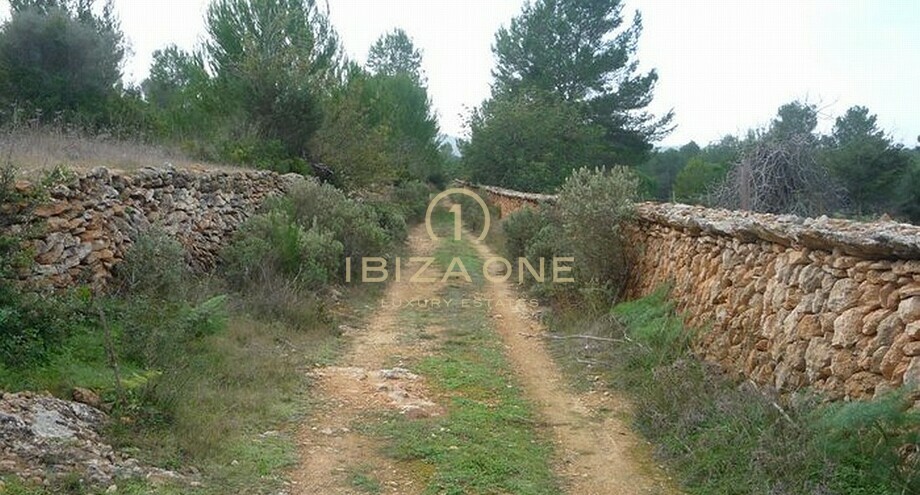 Foto des Objektes