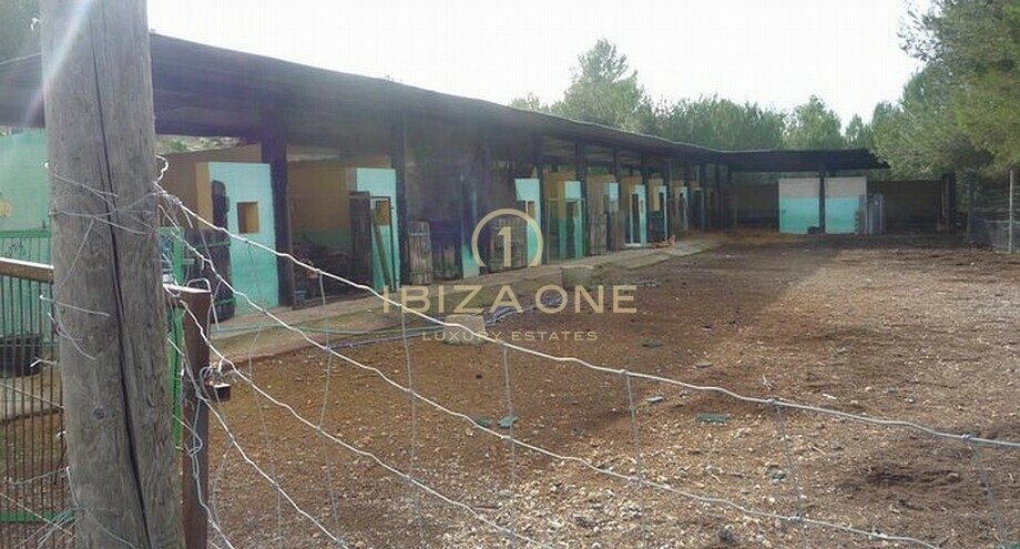 Fotos de la propiedad