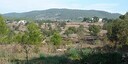 Foto dell'oggetto