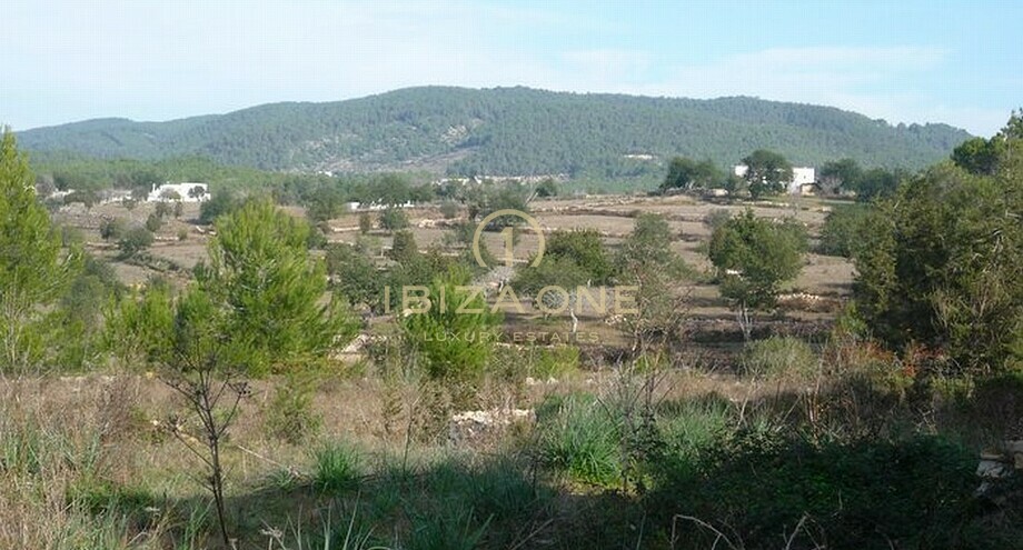 Photo de l'objet