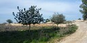 Photos of the property