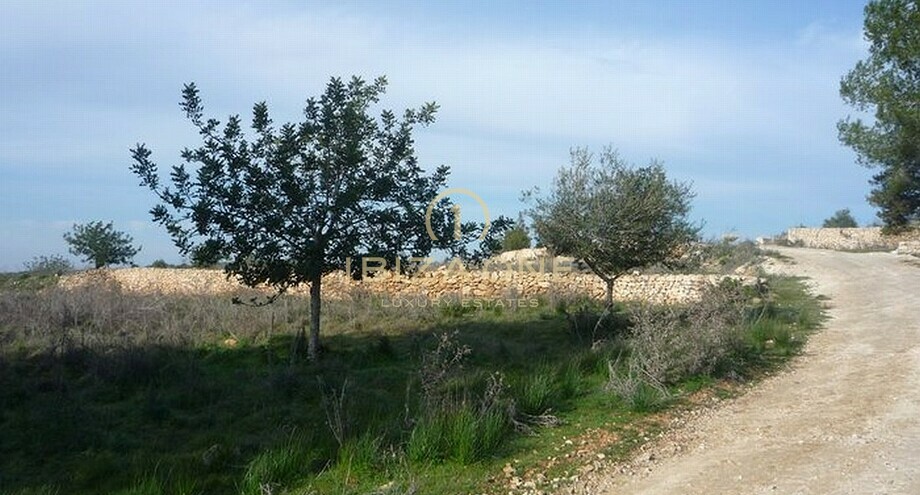 Foto dell'oggetto