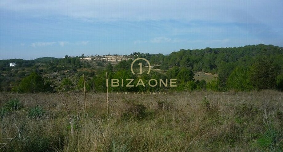 Foto dell'oggetto