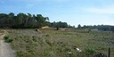 Photos of the property
