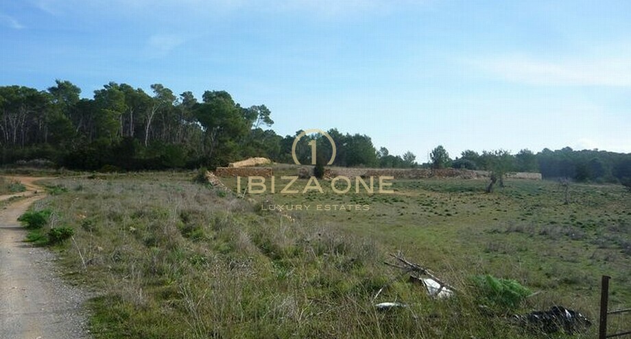 Photos of the property