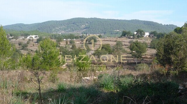 Villa de luxe à vendre, Ibiza - Villa de luxe à louer, Ibiza