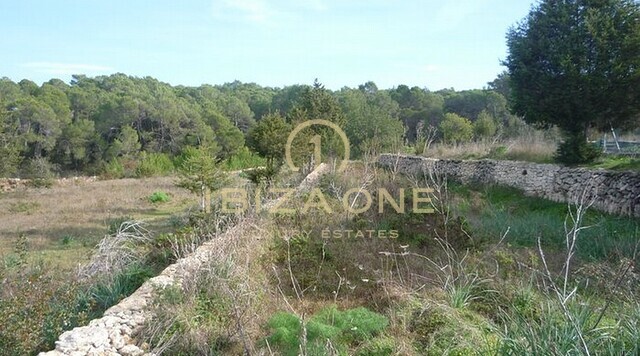 Villa de luxe à vendre, Ibiza - Villa de luxe à louer, Ibiza
