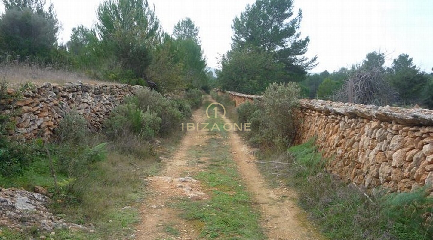 Villa de luxe à vendre, Ibiza - Villa de luxe à louer, Ibiza