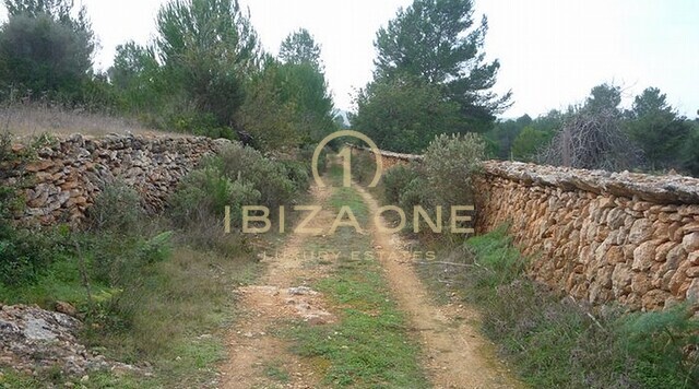 Villa de luxe à vendre, Ibiza - Villa de luxe à louer, Ibiza