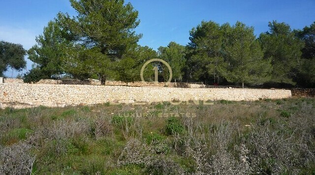 Luxury Villa for sale, Ibiza - Luxury Villa for rent, Ibiza