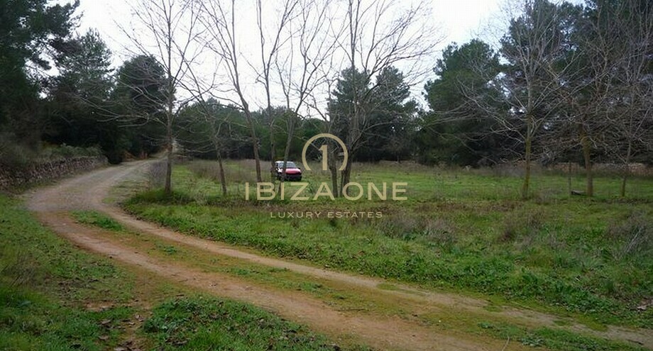 Fotos de la propiedad
