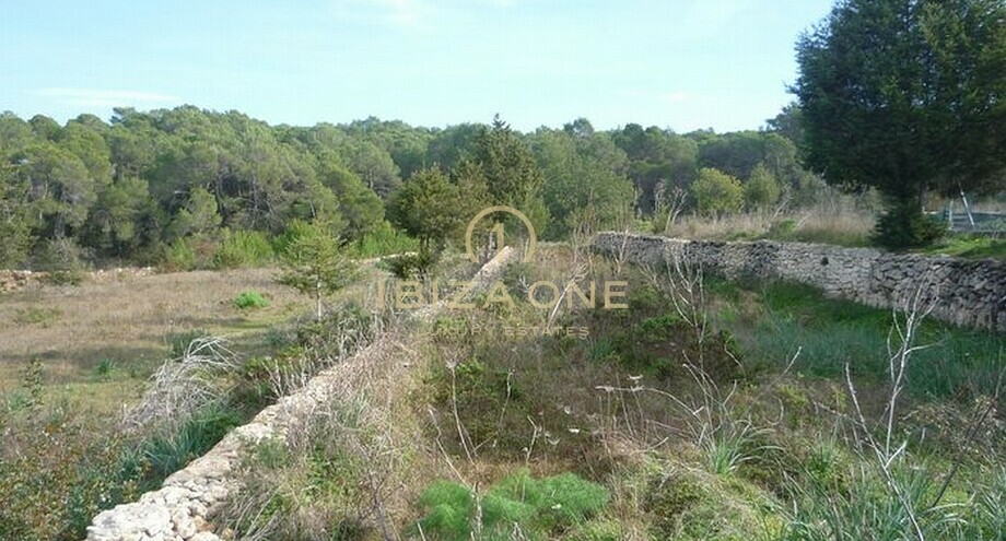 Fotos de la propiedad